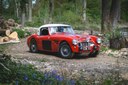 austin healey rally auto.jpg