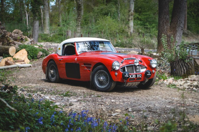 austin healey rally auto.jpg